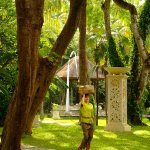 Tropische tuin